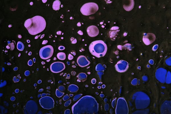 Can We Force Cancer Cells into Suicide?